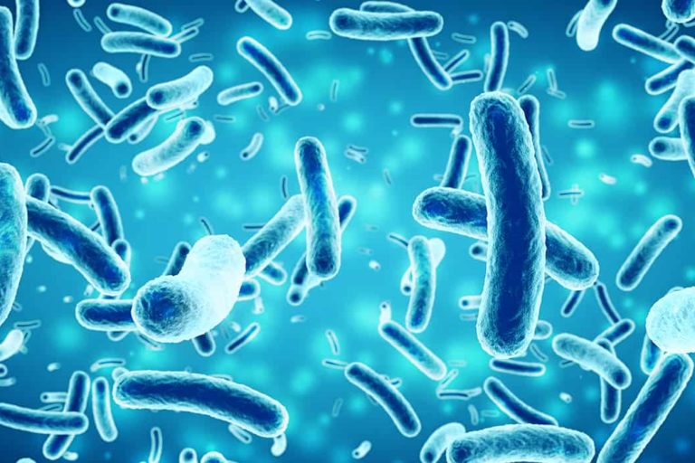 bacteria in a blue background, 3D illustration