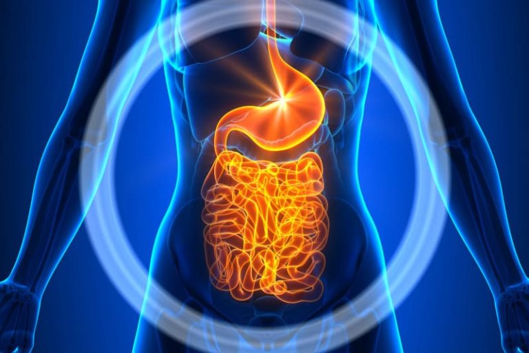 Got Cravings? It Could Be Your Gut Talking