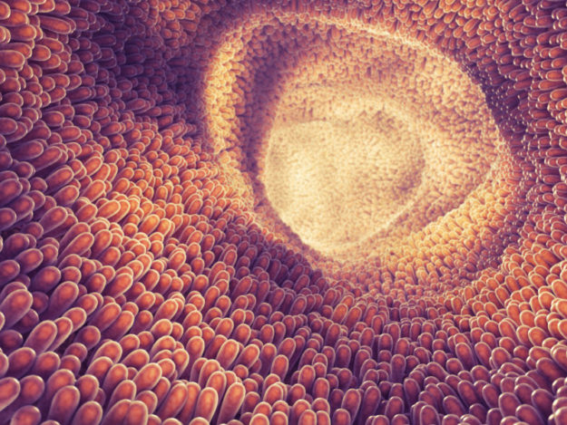 Biomarkers for Mucosal Barrier Health: Chances are you’re ordering more of them than you might think