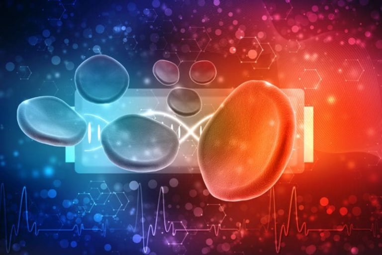 Counteracting the Negative Effects of too Much Homocysteine