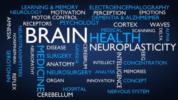 Neuroplasticity – A Functional Medicine Approach
