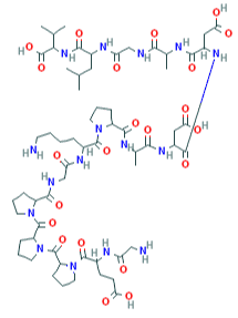 prime peptides bpc 157 BPC 157 Peptide (RUO) | High Purity ≥99% main image 1