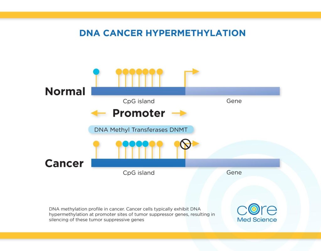 Science of Vitamin C Benefits Beyond the Common Cold