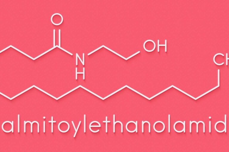 Palmitoylethanolamide (PEA) drug molecule. Skeletal formula.