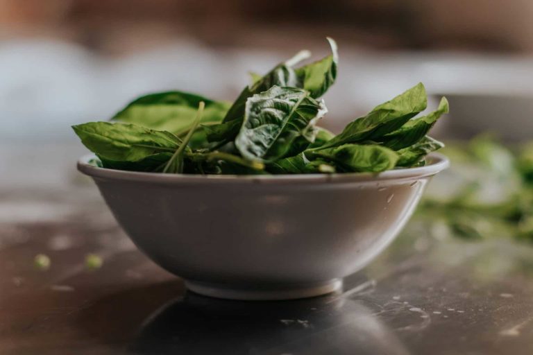 green-leaves-in-white-ceramic-bowl-1751149 (1) green-leaves-in-white-ceramic-bowl-1751149 (1)
