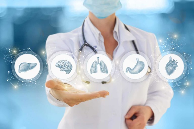 Doctor shows icons of internal human organs .