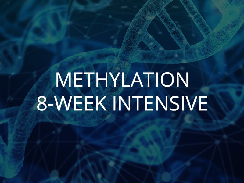 Methylation 8-Week Intensive
