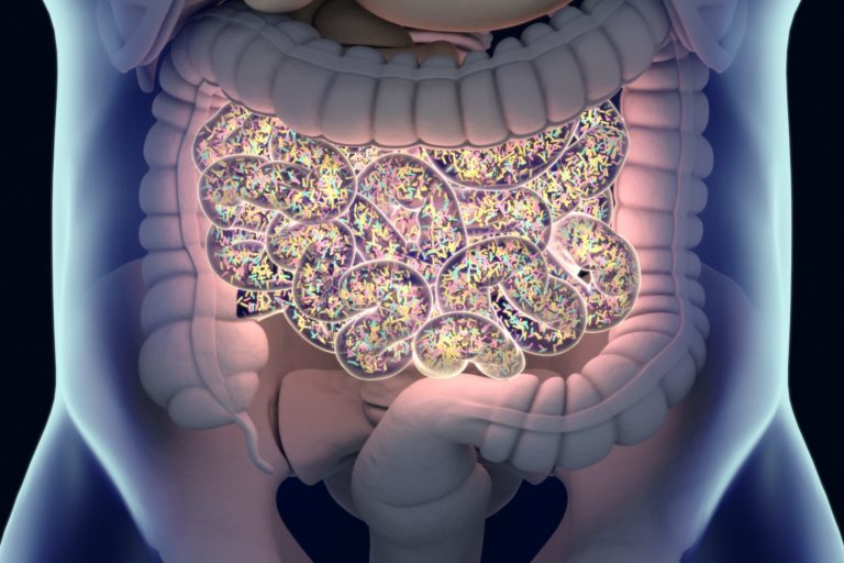 Gut health