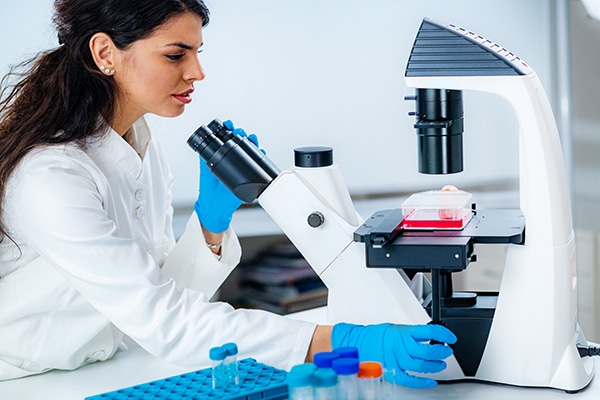 Female Student in Laboratory, Placing Culture Flask on the Microscope Observation Stage