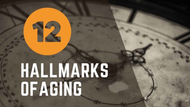 Hallmarks of Aging
