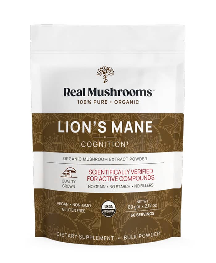 Lion's Mane Extract Powder 60g