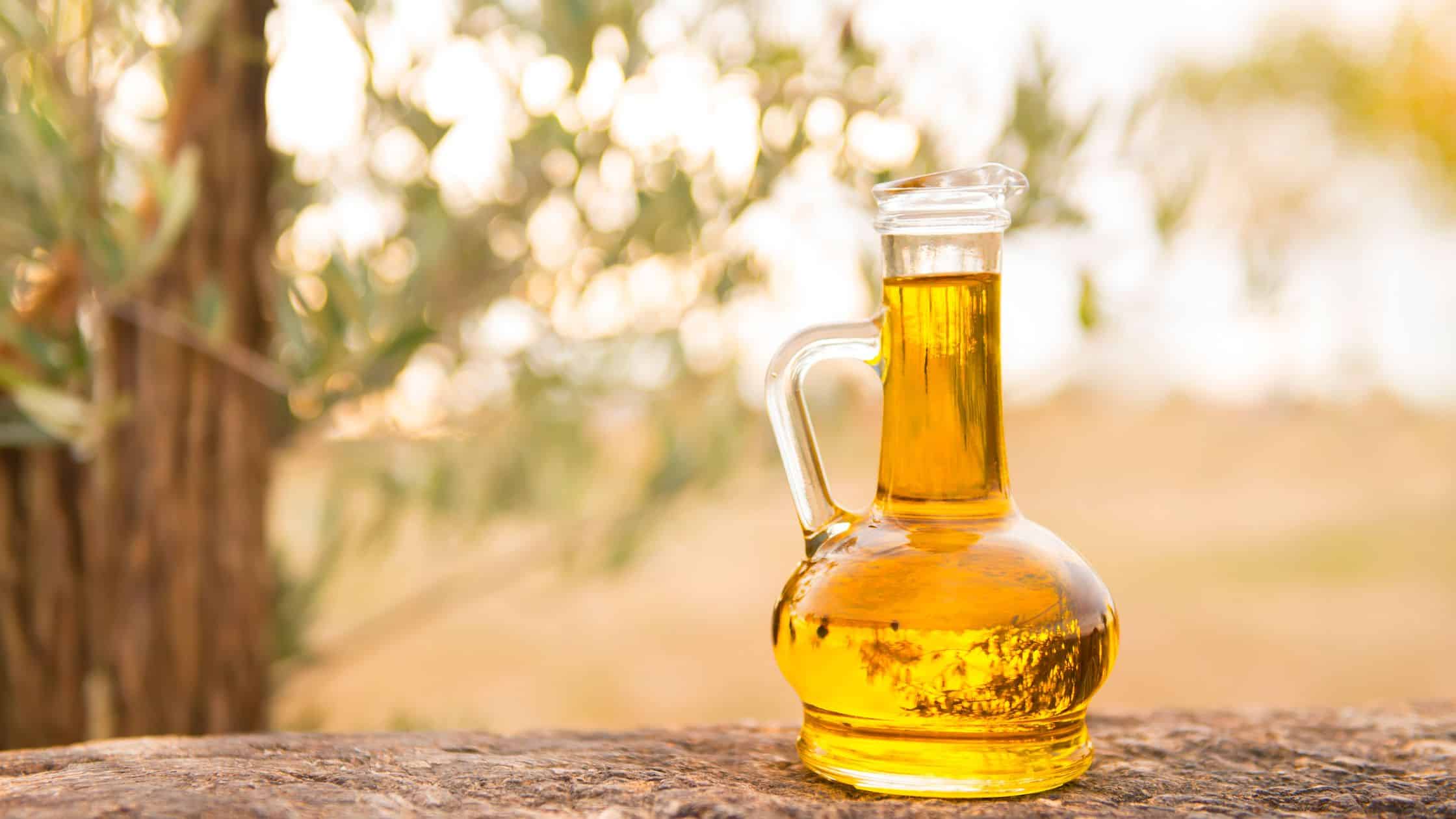 Olive oil bottle under olive tree in greece