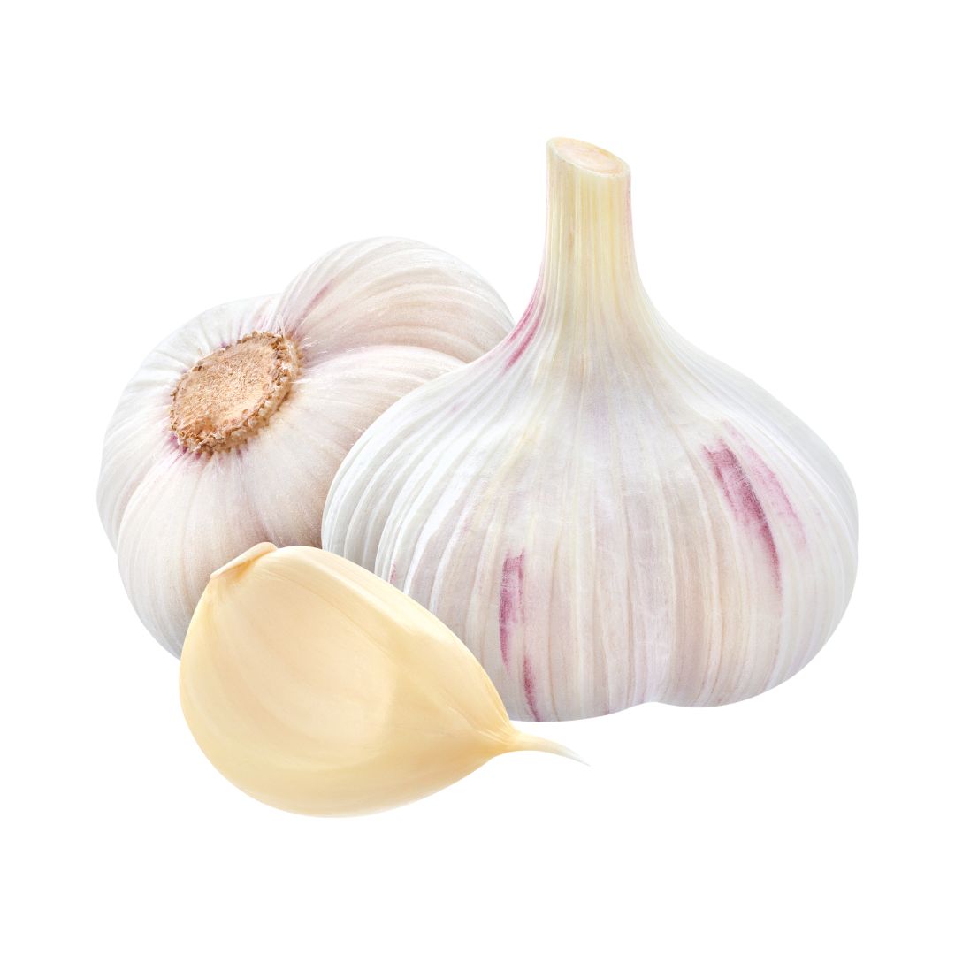 Garlic