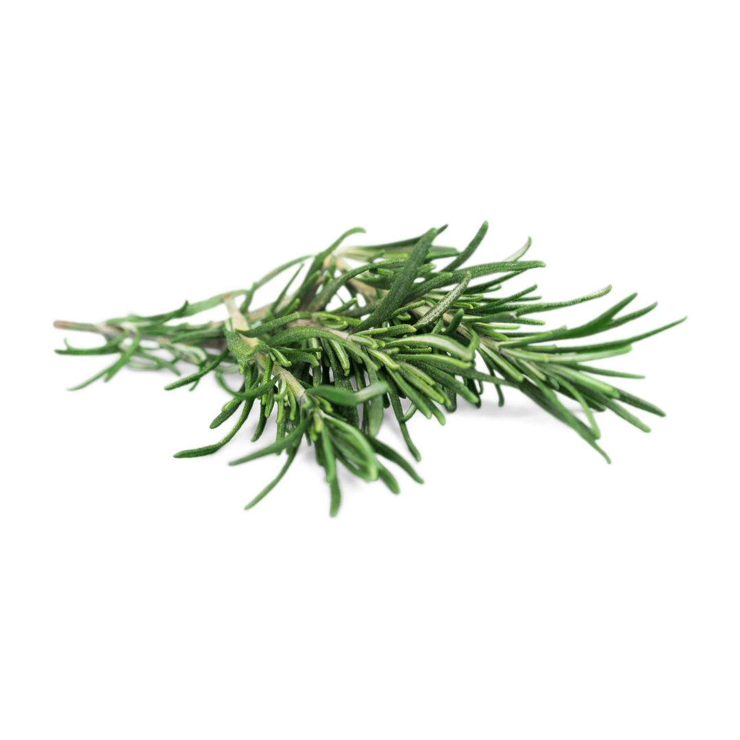 Rosemary