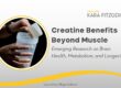 Creatine Benefits Beyond Muscle: Emerging Research on Brain Health, Metabolism, and Longevity