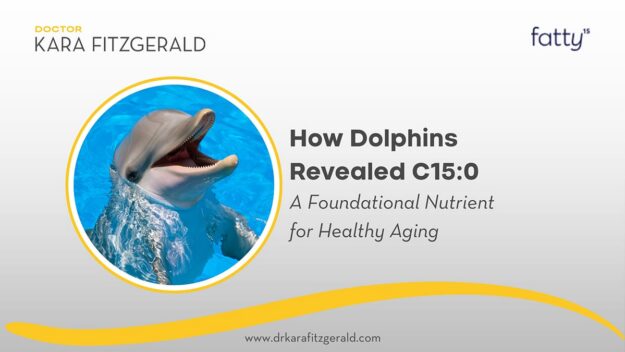 How Helping Older Dolphins Unlocked A Secret To Healthy Aging How Helping Older Dolphins Unlocked A Secret To Healthy Aging