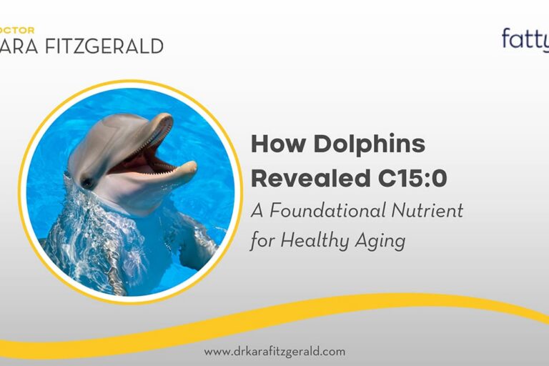 How Helping Older Dolphins Unlocked A Secret To Healthy Aging