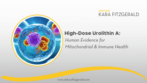 Urolithin A for mitochondria and immune health