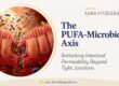 Illustration of the intestinal lining with colorful gut microbes, paired with the title “Rethinking Gut Permeability: PUFA Metabolism, the Microbiome, and Immune Activation.”