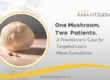 Lion’s Mane mushroom and the title “One Mushroom. Two Patients.” for a Dr. Kara Fitzgerald blog on targeted Lion’s Mane formulations.